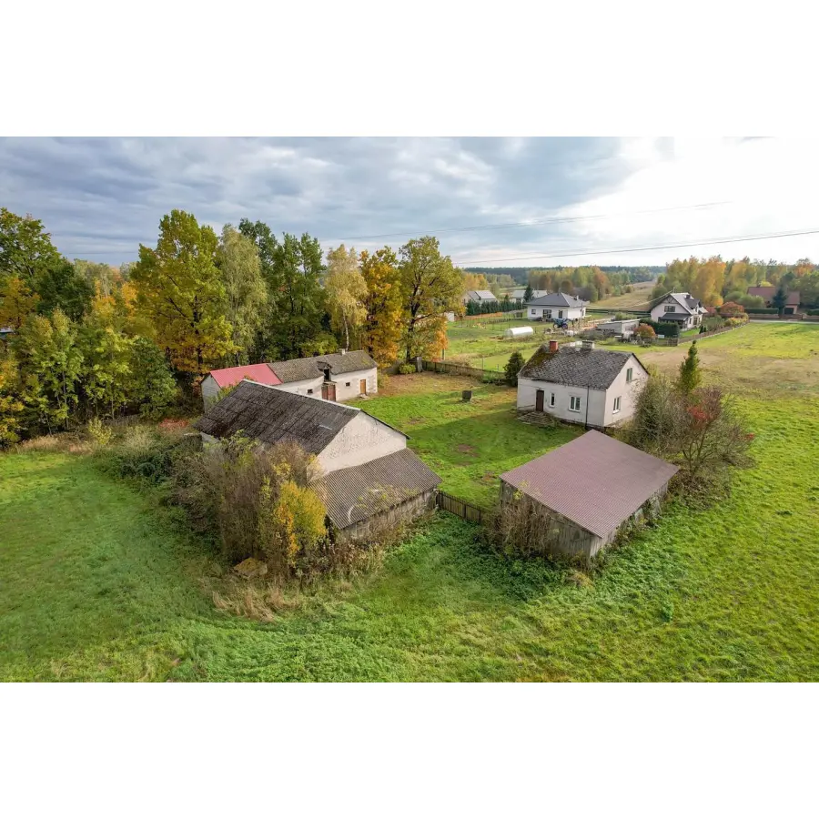 mazowieckie, kozienicki, Grabów nad Pilicą, Zwierzyniec, Zwierzyniec/ Siedlisko/4,7 ha gruntu